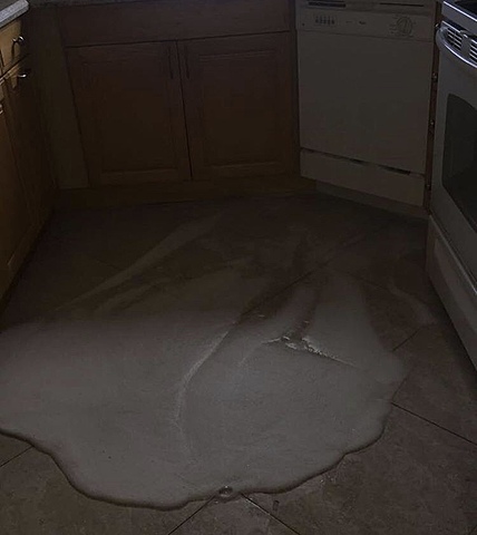 Dishwasher mishap