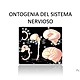 Ontogenia del sistema nervioso 1 728