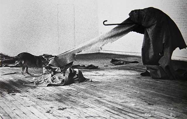 I like America and America likes Me / Coiot - Joseph Beuys (Art d'acció)