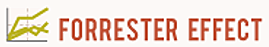 EFECTO DE FORRESTER