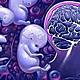 Feto  cerebro