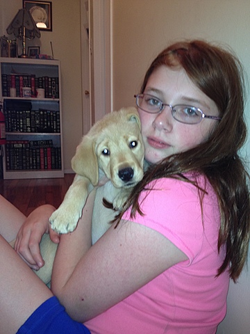 Socializing Puppies for Guiding Eyes for the Blind