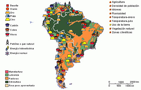 etapa de descubrimiento