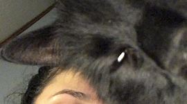 Timeline: Events Throughout My Life