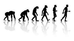 Origin of Species by Means of Natural Selection