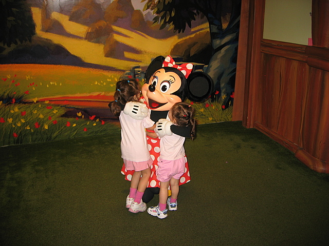 Minnie Ears Obsession