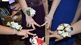 Timeline: Timeline Project