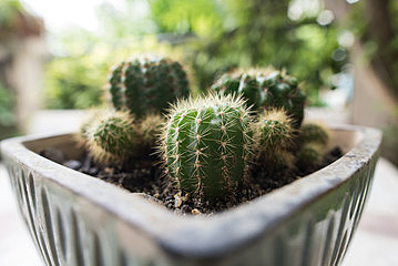 Being afraid to go into the ocean