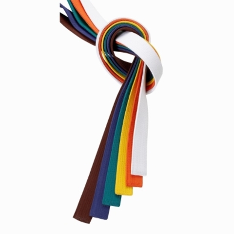 Cinturón Marrón de Kárate