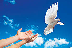 Neutralidad España en la primera guerra mundial