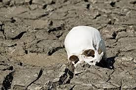 nos seguimos quedando sin suelo