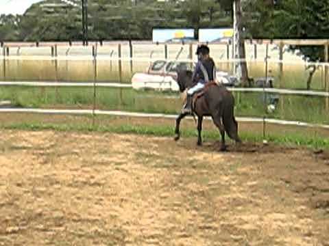 First time I ride a horse