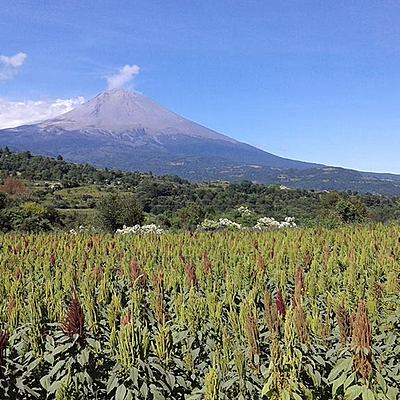 Timeline: Vida y obra del volcán Popocatépetl