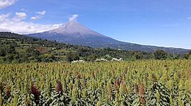 Timeline: Vida y obra del volcán Popocatépetl