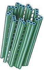 Descubrimiento del Centriolo