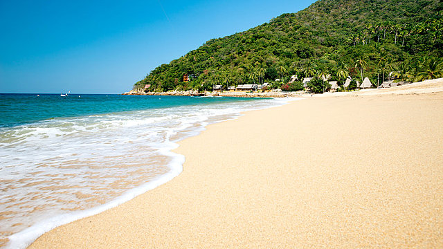 The expedition reached the Mexican coast.