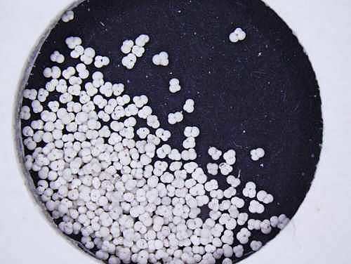 Cambió climático de la Tierra