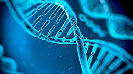 Timeline: avance de la genetica