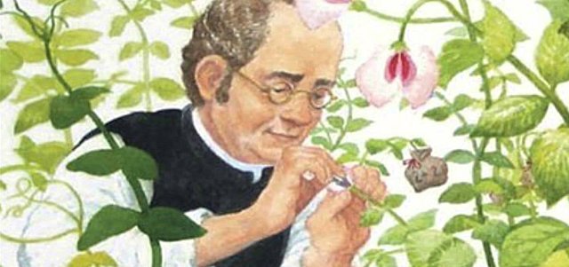 Gregor johann mendel