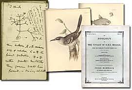 Primer libro de notas de Darwin
