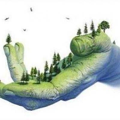 Timeline: Hechos importantes en el Medio Ambiente