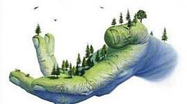 Timeline: Hechos importantes en el Medio Ambiente