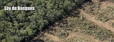 Ley de los bosques nativos
