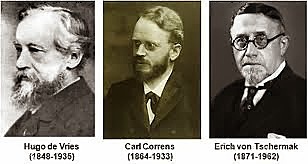 Hugo de vries- Carl correns- Erich von Tschermak