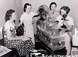 Hottest Summer on Record