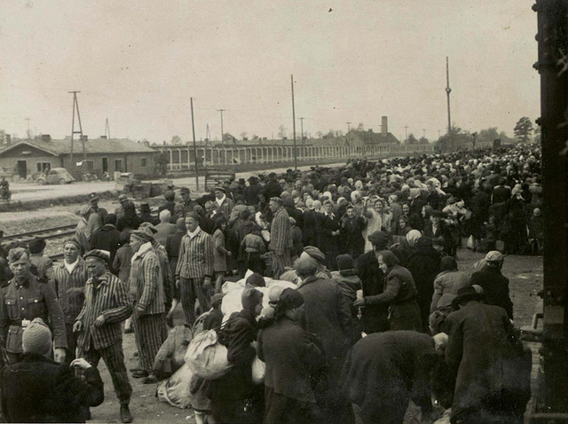 Evacuaate Auschwitz