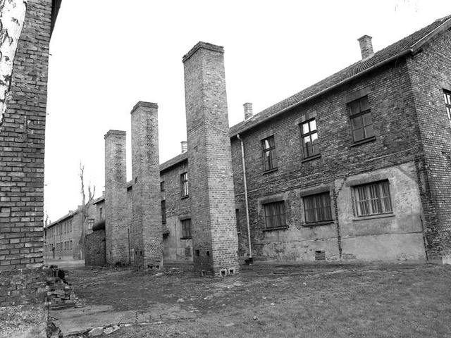 Nazi's open the concentration camps Dachau and Buchenwald