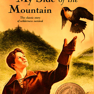 Timeline: My Side of the Mountain J W