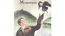 Timeline: My Side of the mountain TG