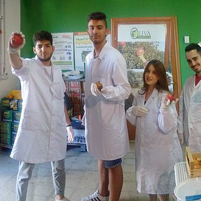 Timeline: alternanza