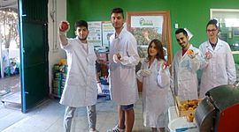 Timeline: alternanza