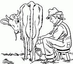 Primeras recolecciones