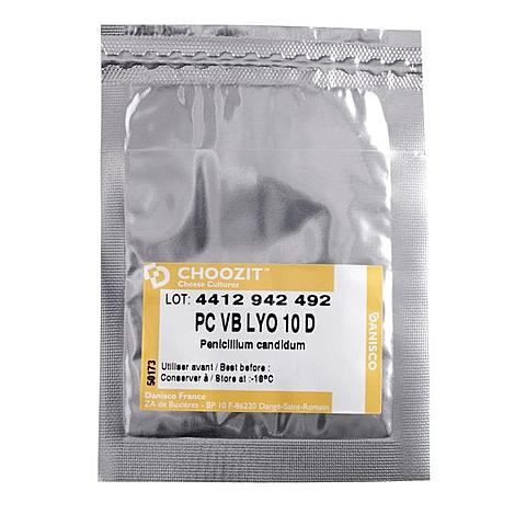 Penicillium Candidum