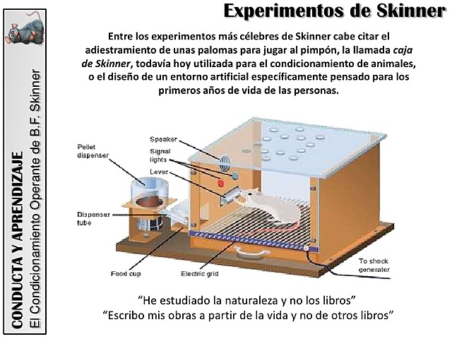 Condicionamiento operante - B,F. Skinner