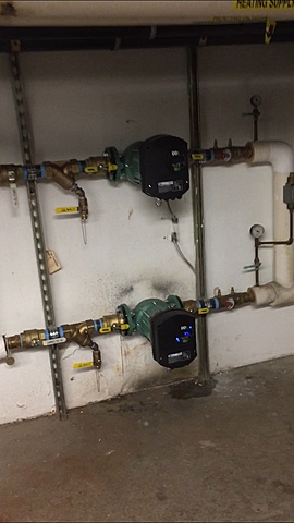 My head hurts but i'm proud