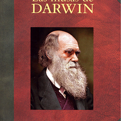 Timeline: Las musas de Darwin(segundo parcial)