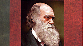 Timeline: Las musas de Darwin(segundo parcial)