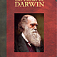 Darwin