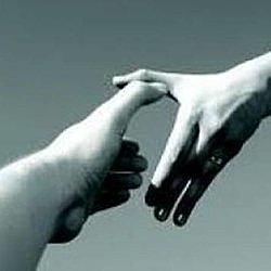 Etapa de la Negociación