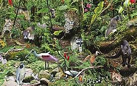 La variación de los animales y las plantas bajo domesticación