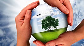 Timeline: Календарь экологических дат (май 2021)