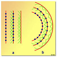 CHRISTIAAN HUYGENS (teoria ondulatòria)