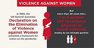 Declaration on the Elimination of Violence Against Women
