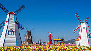 Aparicion del programa de garantia a la calidad