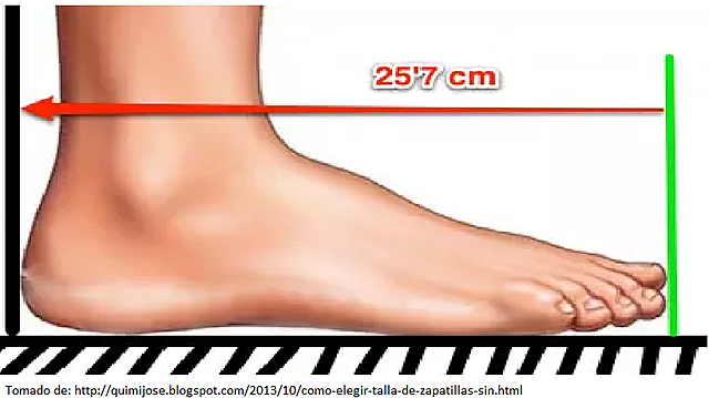 Longitud del pie