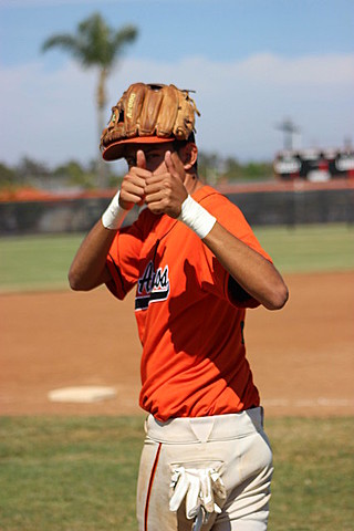 first year of baseball